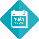 12 - 16 Tuần