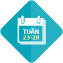 23 - 28 Tuần