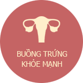 Buồng trứng khỏe mạnh